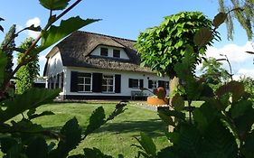 Mimosa Bed & Breakfast In